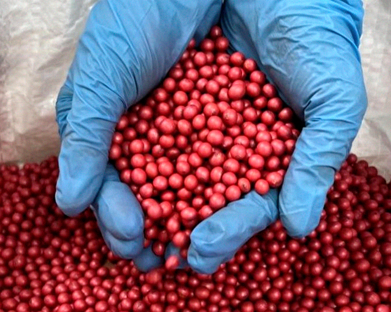 Detalhe do sistema de aplicação da máquina tratadora NEWMAQ