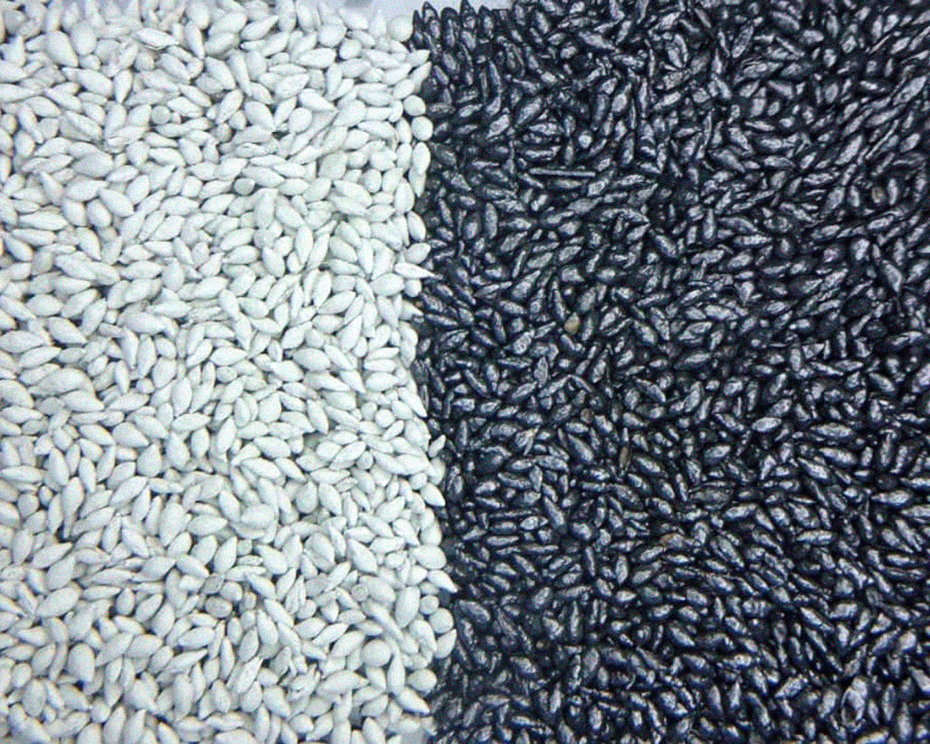 Tambor de revestimento industrial NEWMAQ em funcionamento